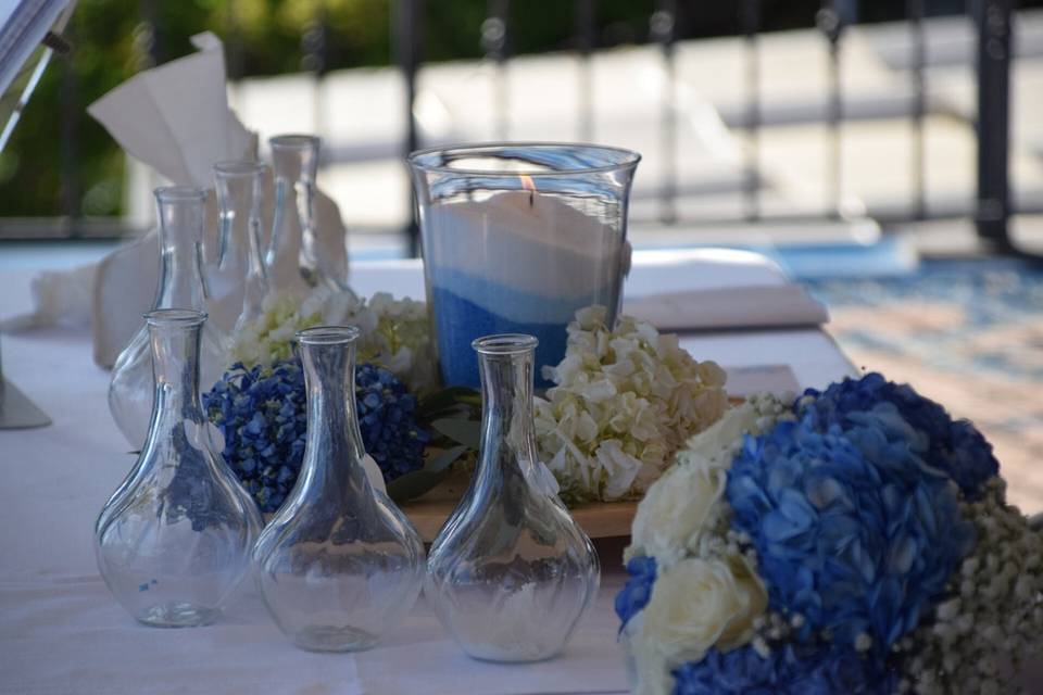 Celebrante - Daniela Ambrosano