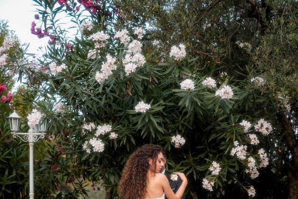 Editorial WED