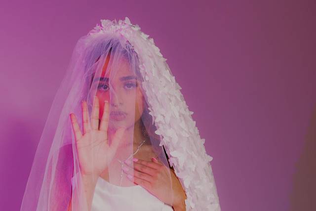 Butterfly Veil