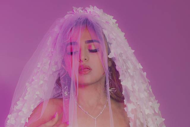 Butterfly Veil