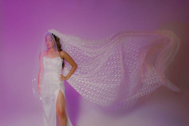 Butterfly Veil