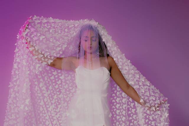 Butterfly Veil