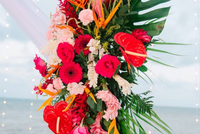 Bright Tropical Flowers