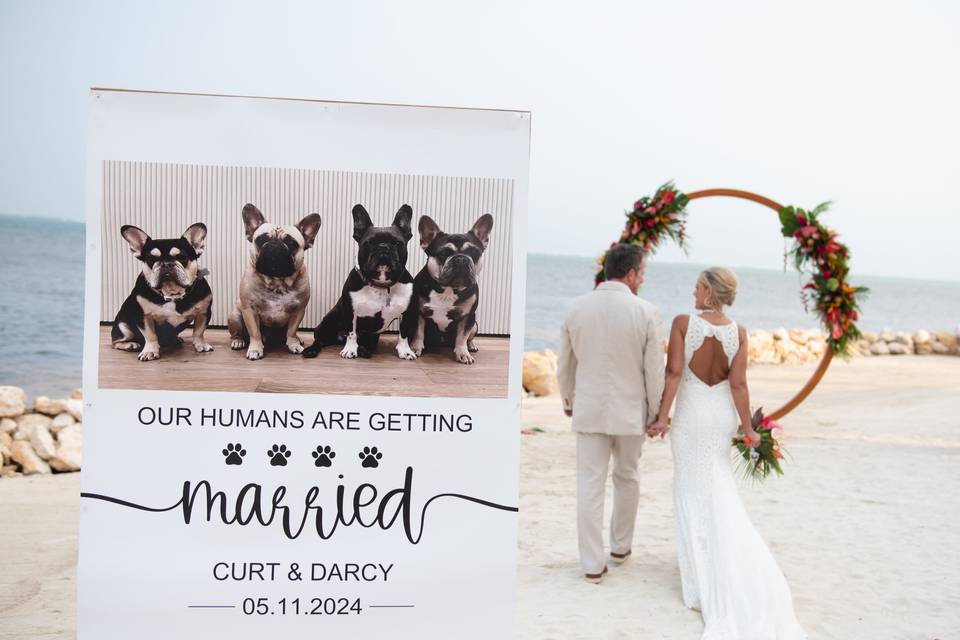 Reception Setup