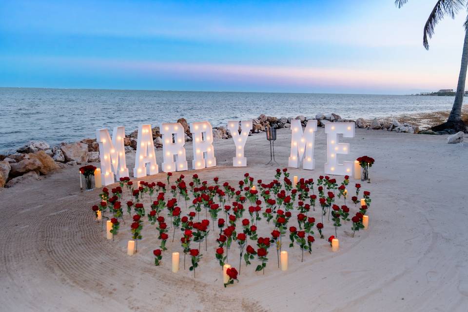 Beach Proposal Setup