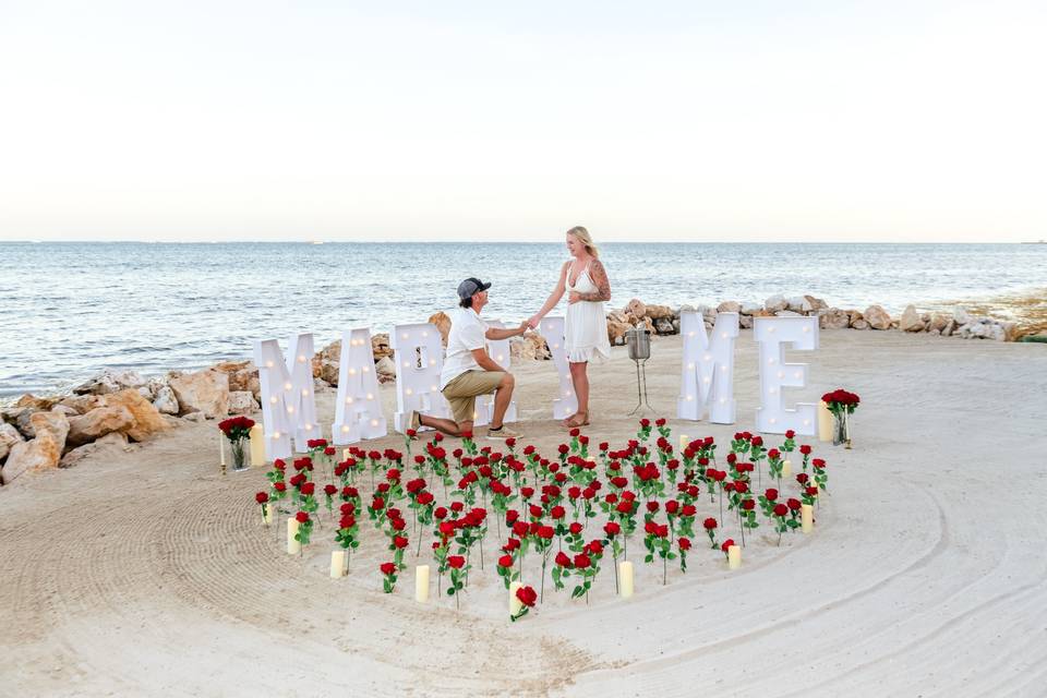 The Perfect Proposal