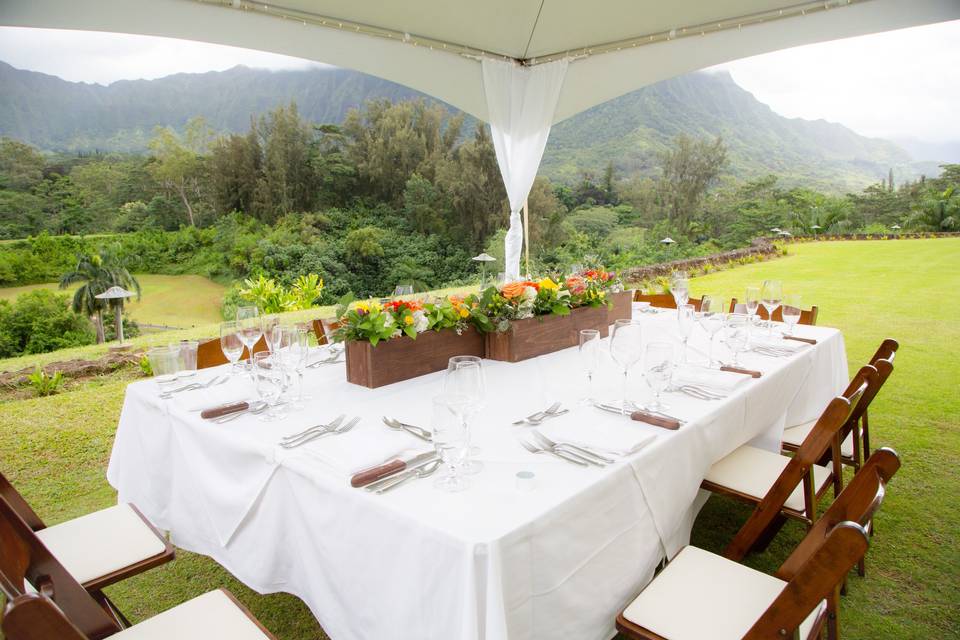 Host an outdoor reception to enjoy the magnificent views