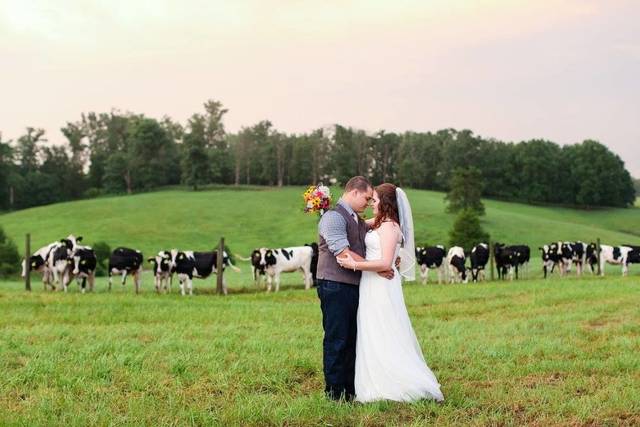 Alvis Farms at Slate Creek