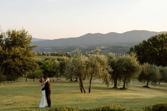 Tenuta di rota