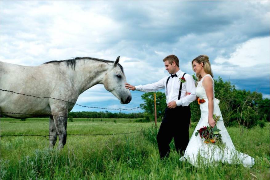 Newlyweds and a white horse