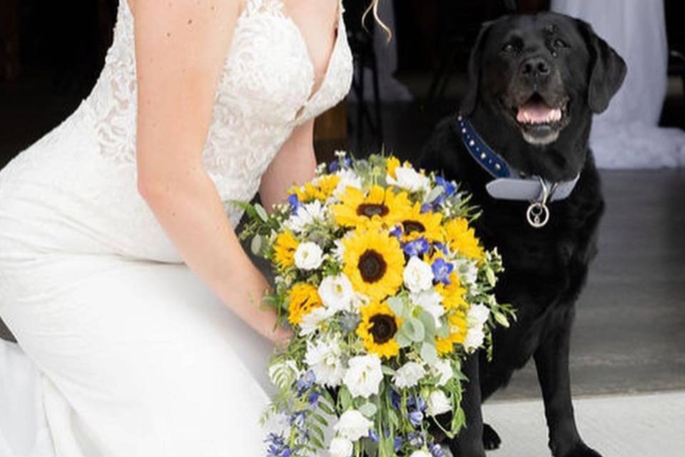 Bride with dog