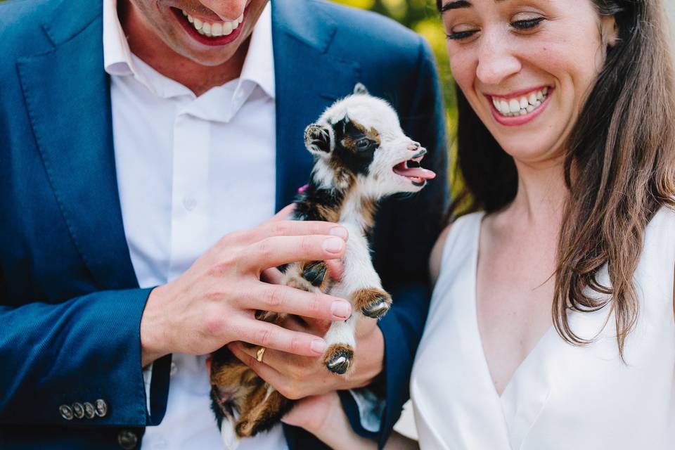 Meeting a baby goat