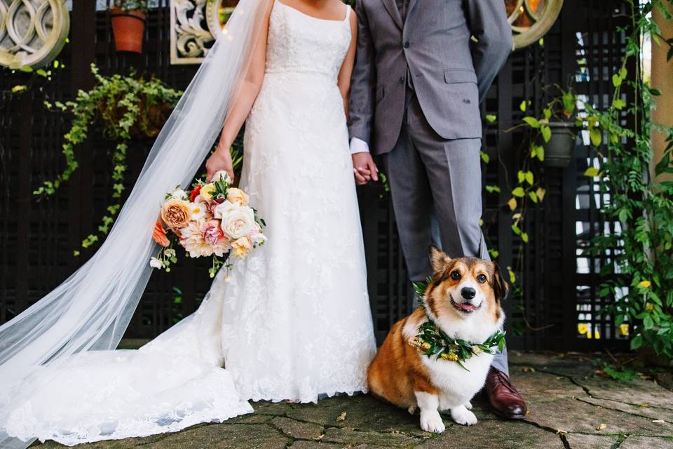 Wedding Corgi