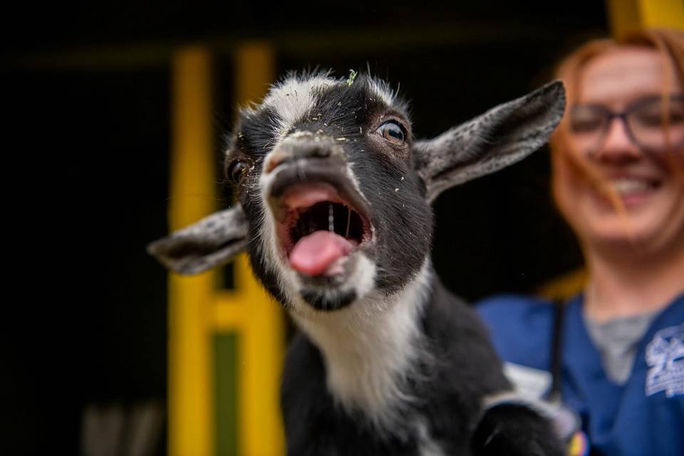 ptdefiancezoo_1741817530_3586947879782786618_224585827 (1)