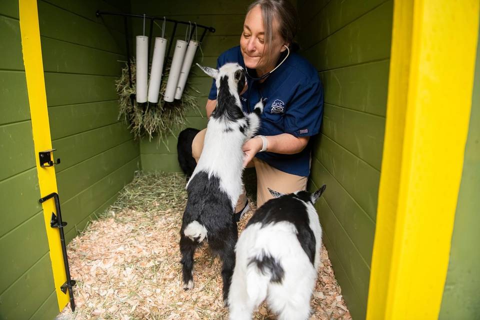 Point Defiance Zoo & Aquarium