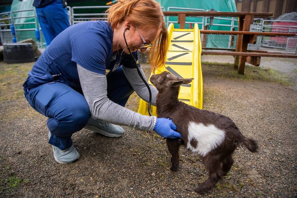 Point Defiance Zoo & Aquarium