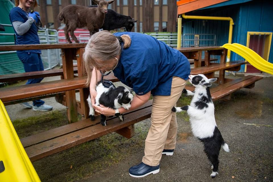 ptdefiancezoo_1741817530_3586947879791135407_224585827