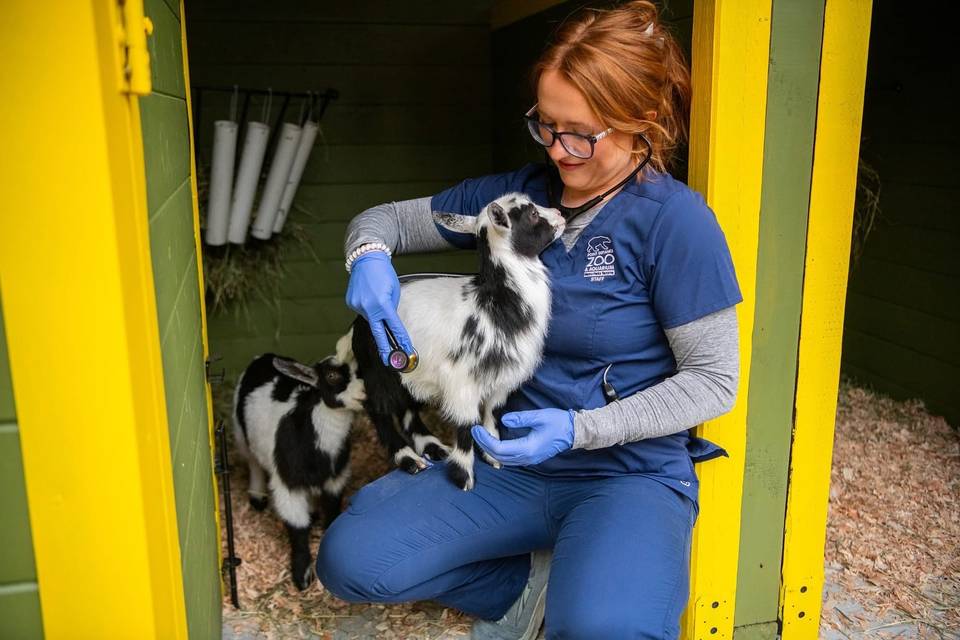 ptdefiancezoo_1741817530_3586947879799507605_224585827