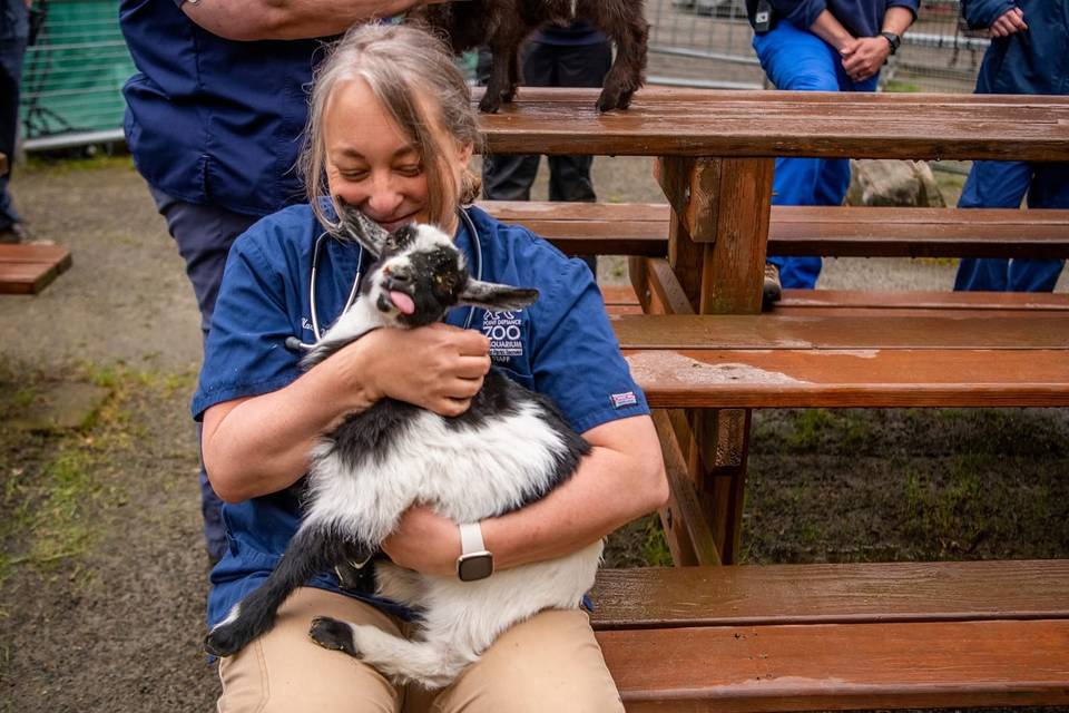Point Defiance Zoo & Aquarium