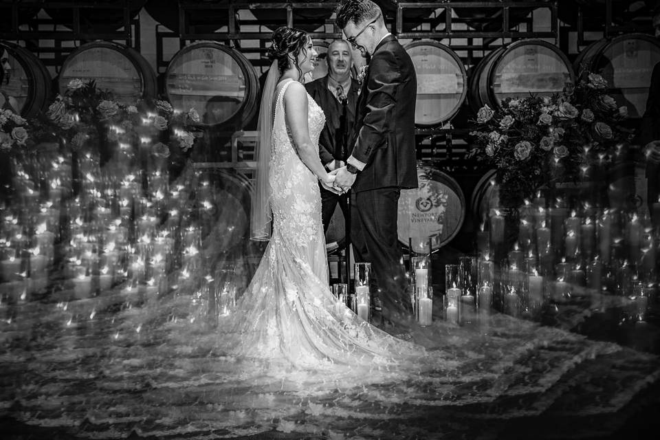 Newport vineyards