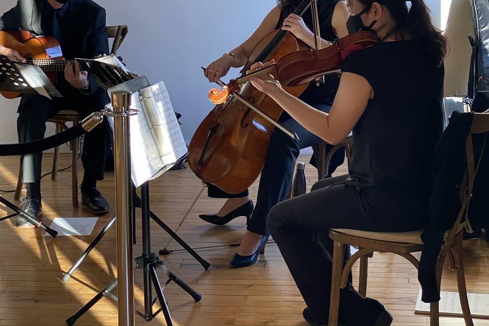 String Trio