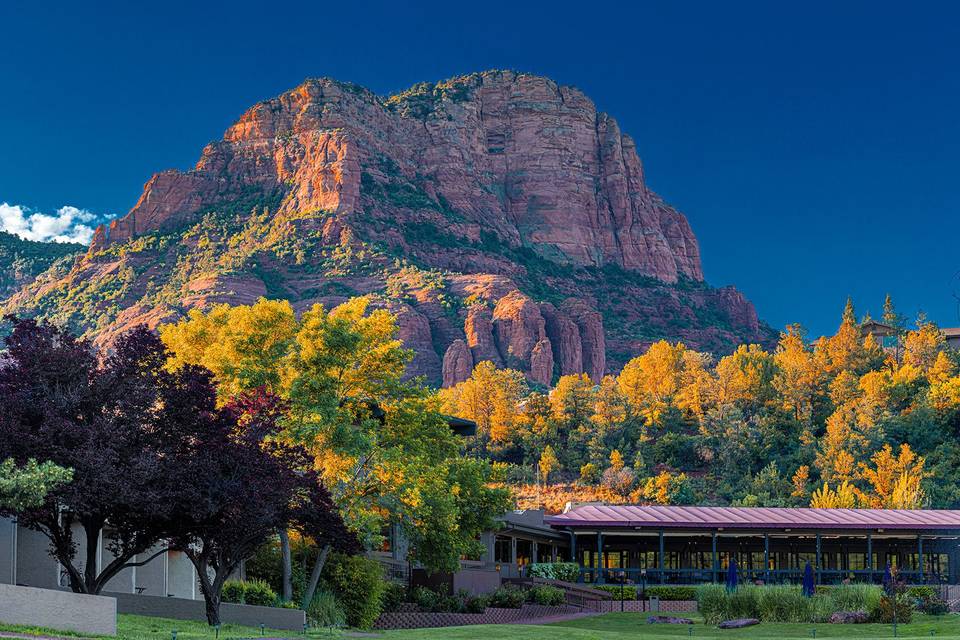 Gorgeous Outdoor Views