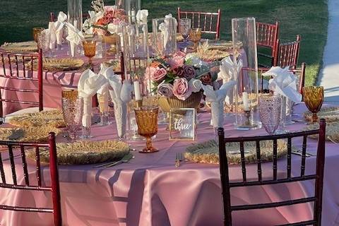 Lower lawn reception