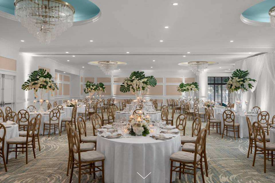 Reception in Belgrove Ballroom
