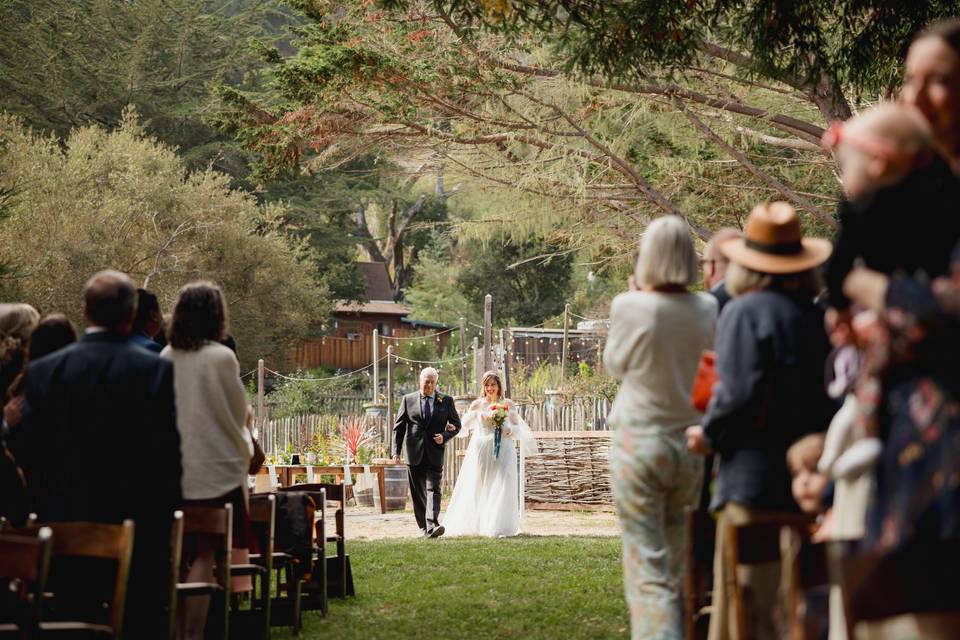 Wedding Splendor