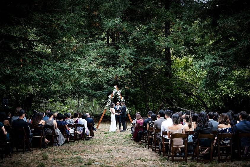 Woodland wedding