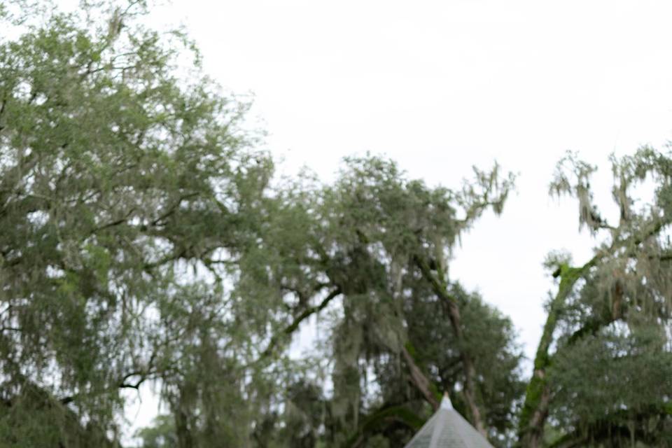 Cotton Events and Weddings