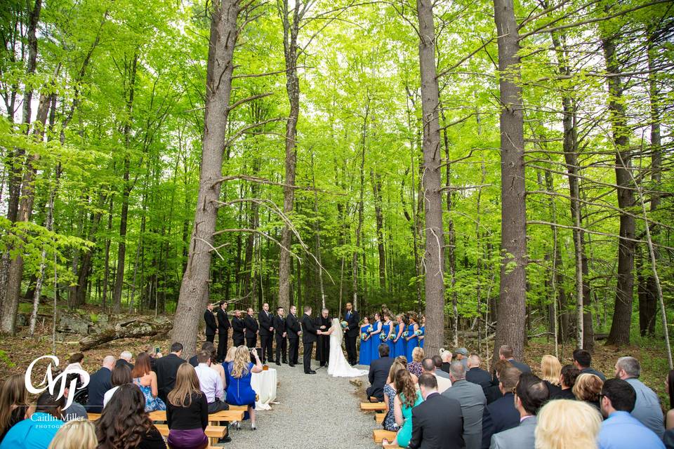 Wedding  in the Woods