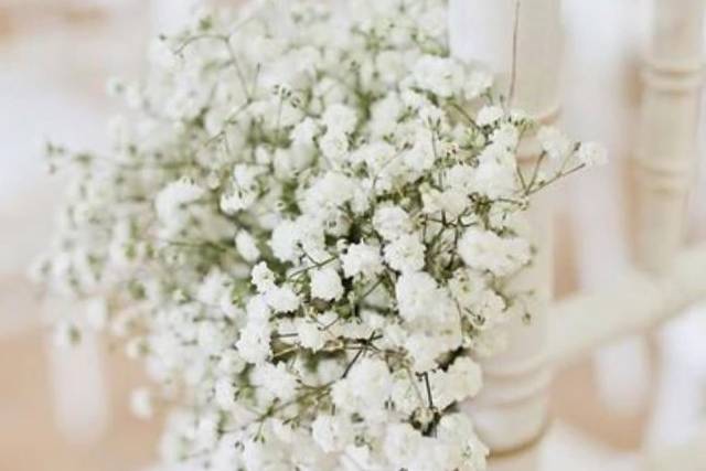 Paola Lapi Luxury Events