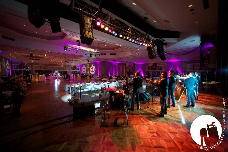 Specialty lighting splendor