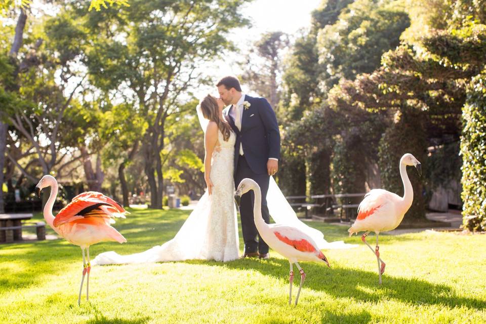 Zoo wedding