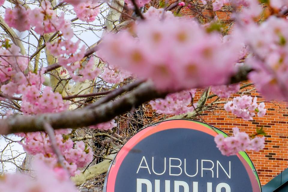 Spring Marquee.png