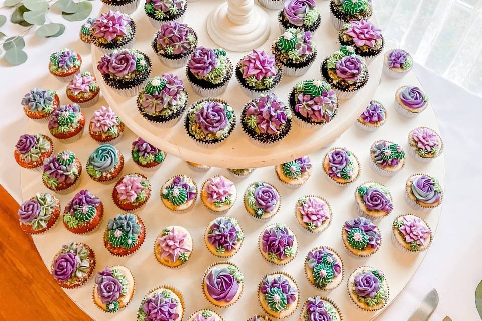 Buttercream Succulents