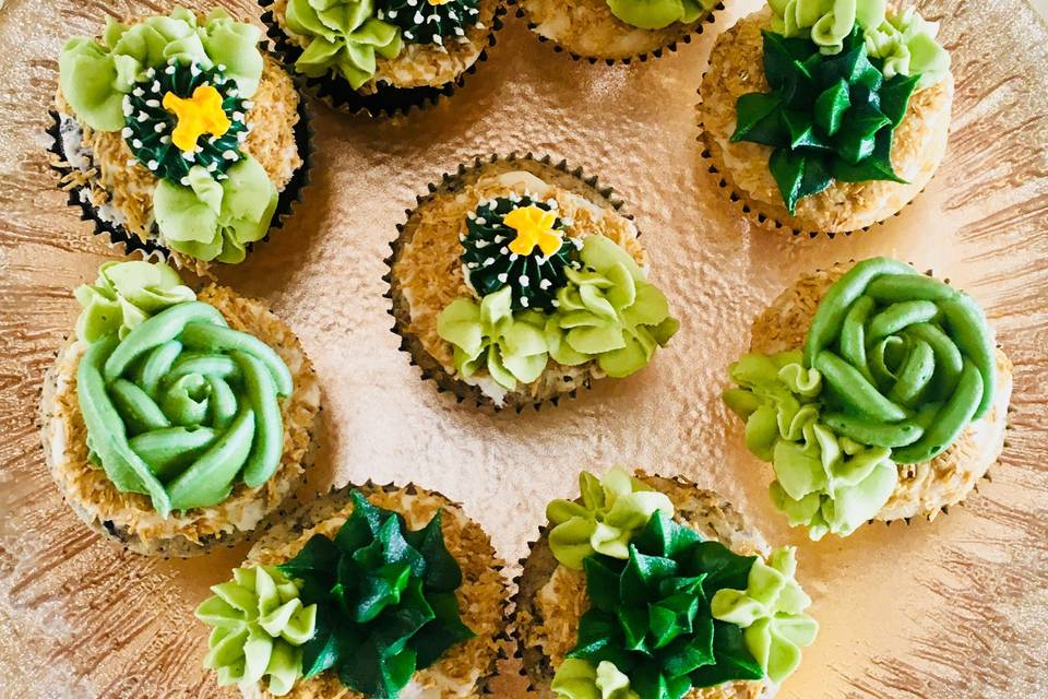 Buttercream Succulents