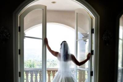 Bob Adams Photography