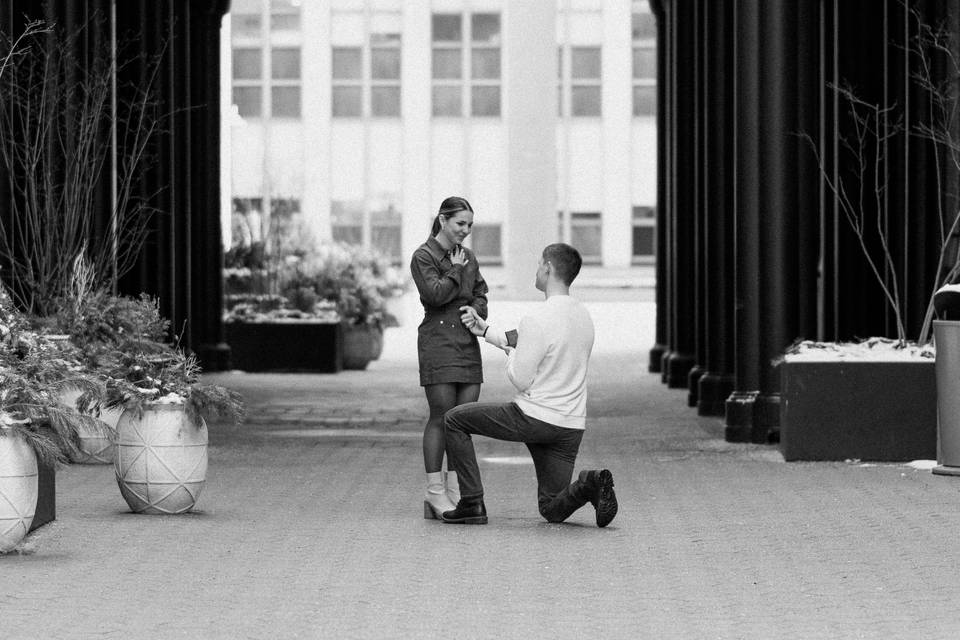 Proposal