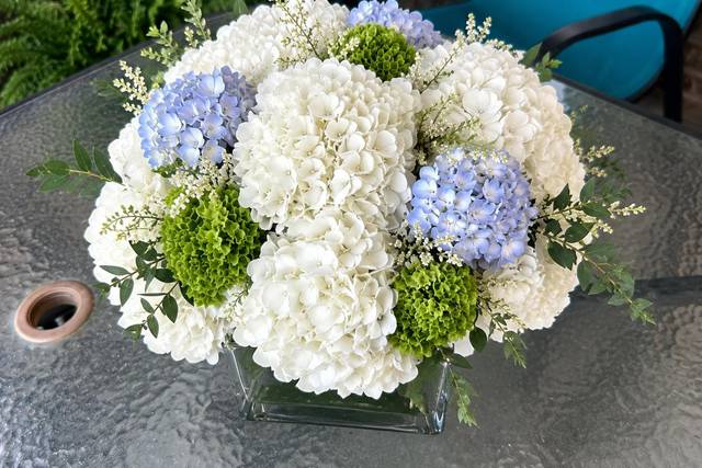 Timeless blooms