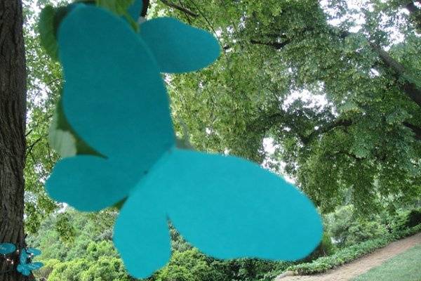 Ted Martinez Event Management