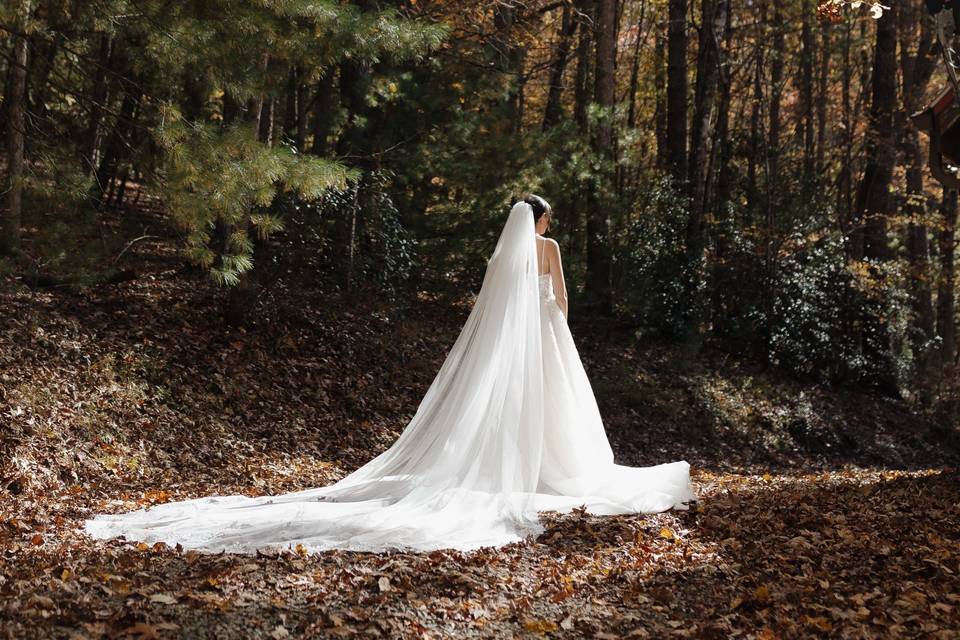Bridals