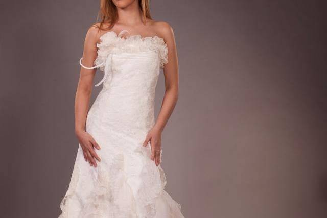 Hannibal Laguna for Pronovias Wedding Gown