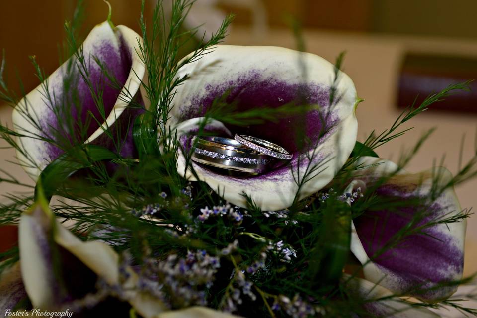 Foster's Photography