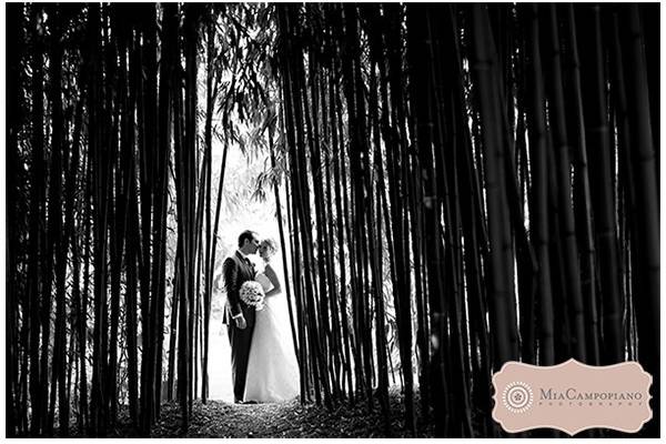 Mia Campopiano Photography