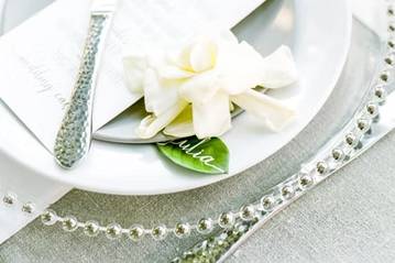 Wedding Reception