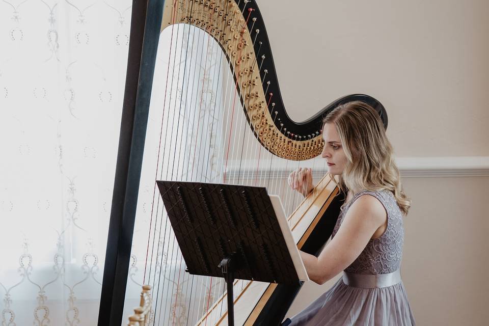 Harpist for ceremony