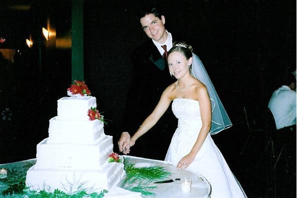 Bride and groom cutting the cake