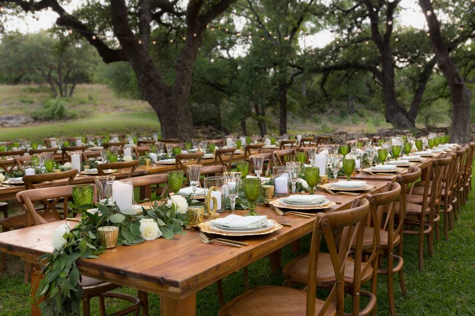 Outdoor reception setup